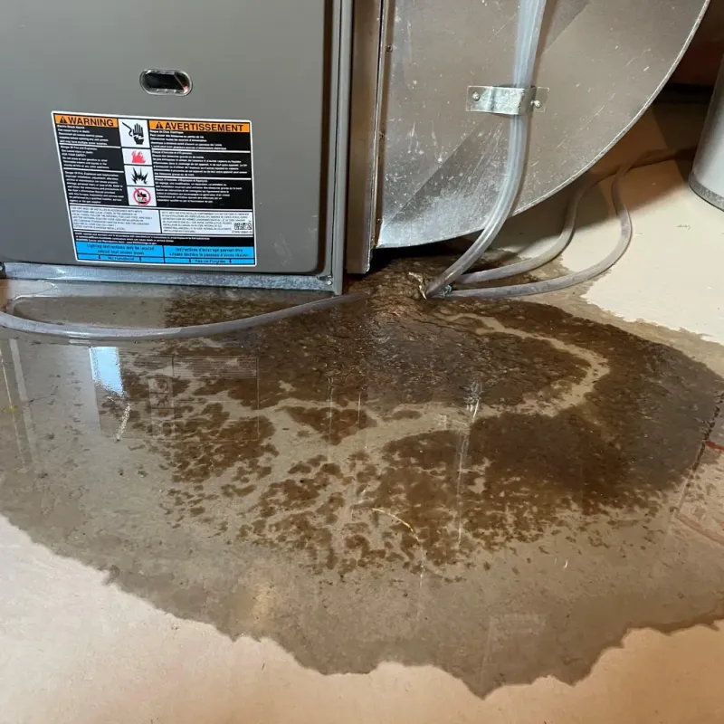 Appliance Leak Cleanup in Abbeville, GA